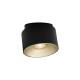 torone orient